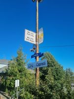 Unser Zug in Capreol (10)