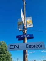 Unser Zug in Capreol (11)