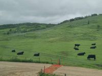 Durch Sasketchawan (27)