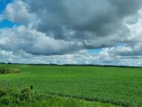 Prärielandschaften (4)