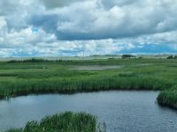 Prärielandschaften (5)