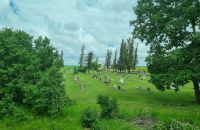 Prärielandschaften (12)