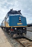 Train No1 in Melville (6)