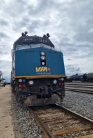 Train No1 in Melville (7)