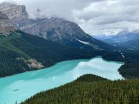 2. Tag – Calgary bis Banff – Icefields Parkway – Peyto Lake
