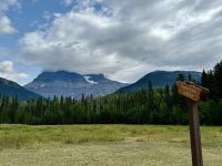 5. Tag – Blue River bis Prince George – Pause am Mount Robson
