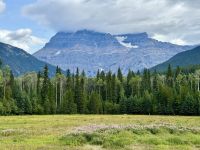 5. Tag – Blue River bis Prince George – Pause am Mount Robson