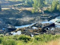 7. Tag – Smithers bis Stewart – Lachse und Forellen am Moricetown Canyon