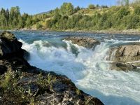 7. Tag – Smithers bis Stewart – Lachse und Forellen am Moricetown Canyon