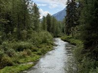 8. Tag – Tongass National Forest und Salmon Glacier – Zweiter Aufenthalt am Fish Creek