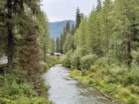 8. Tag – Tongass National Forest und Salmon Glacier – Dritte Bärenbeobachtung am Fish Creek