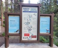 15 Wanderung Johnston Canyon