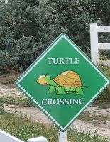 66 Ankunft South Thompson Inn in Kamloops