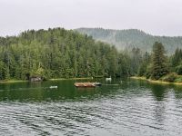 10. Tag – Fahrt mit der Fähre durch die Inside Passage – Bucht von Bella Bella