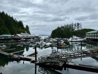 11. Tag – Port Hardy bis Victoria – Telegraph Cove
