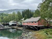 11. Tag – Port Hardy bis Victoria – Telegraph Cove