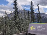 27. Hoodoos am Tunnel Mountain, Banff