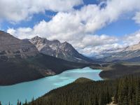 41. Peyto Lake entlang des Icefield Parkways