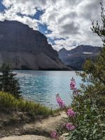 44. Bow Lake, Banff Nationalpark