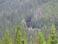49. Lower Spiral Tunnel, Eisenbahn, Kanada