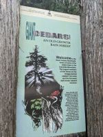 55. Giant Cedar Walk Mount Revelstoke Nationalpark