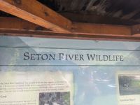 110. Picknickspot mit Bärensichtung bei Lillooet, Kanada