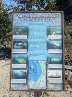 125. Zwischenstopp am Porteau Cove, Kanada