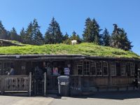 131. Coombs, Goats on the roof, Vancouver Island
