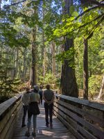 134. MacMillan Provincial Park, Vancouver Island