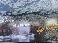 143. Fakultative Bärentour