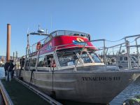 144. Fakultative Bärentour