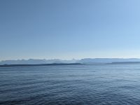 146. Fakultative Bärentour