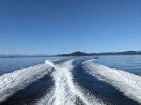 148. Fakultative Bärentour