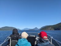 149. Fakultative Bärentour