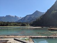 151. Fakultative Bärentour