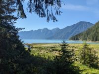 156.2 Fakultative Bärenbeobachtung