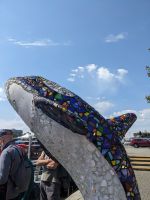 170. Walbeobachtung Victoria, Vancouver Island