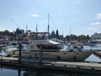 171. Walbeobachtung Victoria, Vancouver Island