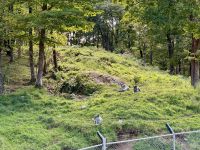 4. Tag – Québec bis Ottawa – Rundfahrt durch den Parc Omega – Polarwölfe