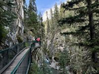 8. Tag – Niagara Falls bis Banff – Spaziergang im Johnston Canyon