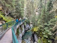8. Tag – Niagara Falls bis Banff – Spaziergang im Johnston Canyon