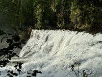 11. Tag – Kamloops bis Clearwater – Wells Gray Park – Dawson Falls
