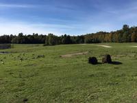 226 Omega Wildpark