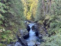14. Tag – Parksville bis Tofino – Little Qualicum Falls Provincial Park