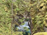 14. Tag – Parksville bis Tofino – Little Qualicum Falls Provincial Park