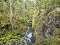 14. Tag – Parksville bis Tofino – Little Qualicum Falls Provincial Park