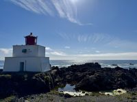 14. Tag – Parksville bis Tofino – Spaziergang auf dem „Lighthouse Loop“ in Ucluelet