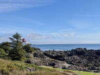 14. Tag – Parksville bis Tofino – Spaziergang auf dem „Lighthouse Loop“ in Ucluelet