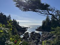 14. Tag – Parksville bis Tofino – Spaziergang auf dem „Lighthouse Loop“ in Ucluelet