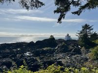 14. Tag – Parksville bis Tofino – Spaziergang auf dem „Lighthouse Loop“ in Ucluelet